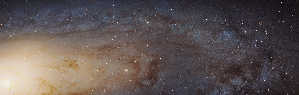 M31