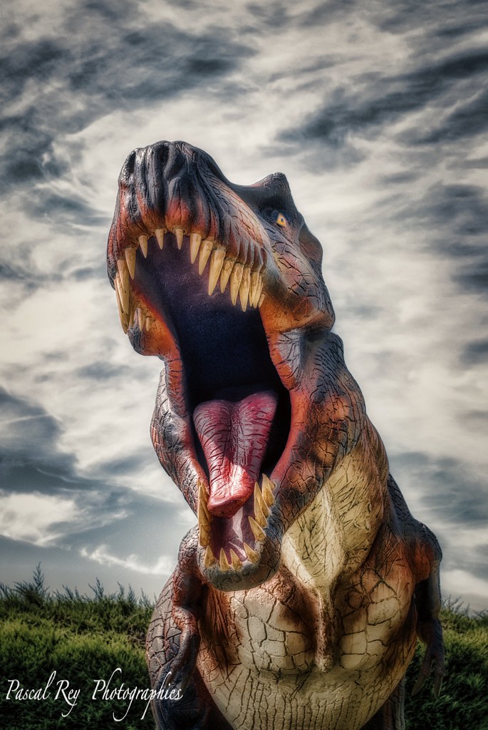 Who is the Closest Relative to the TRex? Create Quest